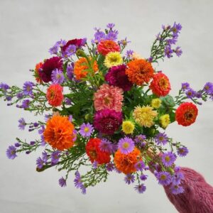 images (28)
