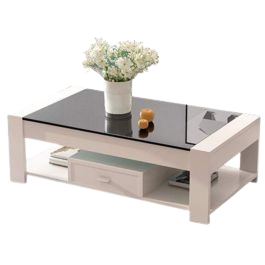 table_basse_rectangulaire_-removebg-preview